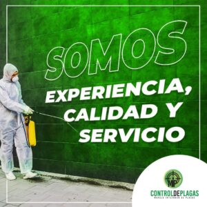 mipcontroldeplagas (17)