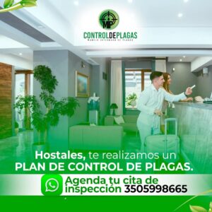 mipcontroldeplagas (21)
