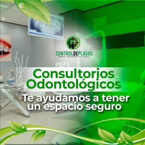 mipcontroldeplagas (22)